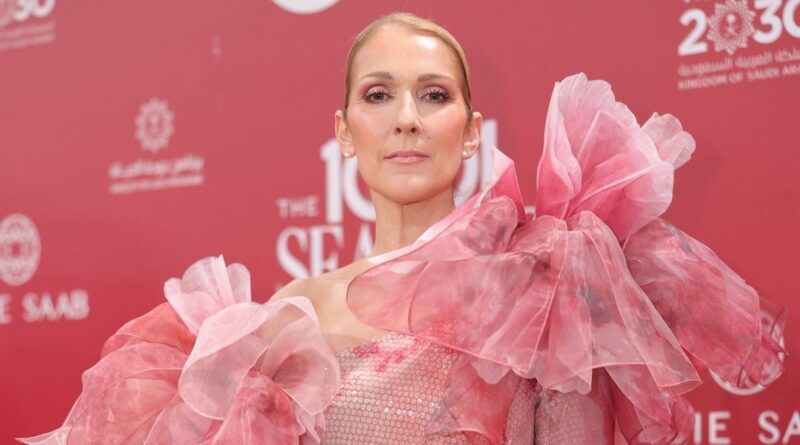 Veja as fotos de Céline Dion na passadeira vermelha do evento de moda de Elie Saab na Arábia Saudita