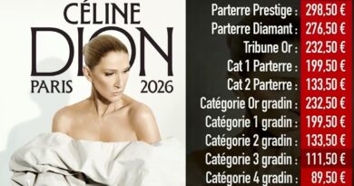 Já são conhecidos os preços dos bilhetes dos concertos de Céline Dion em Paris