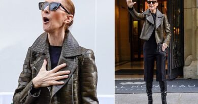 Depois de fim de semana no hotel, Céline Dion volta a sair