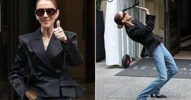 Céline Dion canta “Ziggy” com os fãs à porta do hotel
