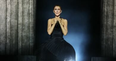 Já começou! Céline Dion começa concerto com “On Ne Change Pas”. Veja em direto.